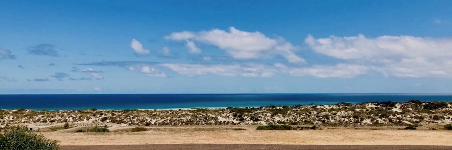 Banner image.