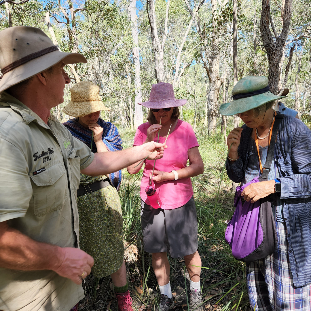 Easter Holidays Travellers Rest 1770 Eco Camping Kui Parks Nature walk Bush Tracks Eco Tour