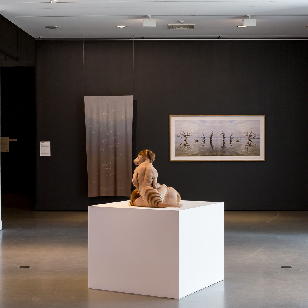 Tyza Hart: Appearing Art Gallery And Installation Standown Park Kui Parks Sculptures
