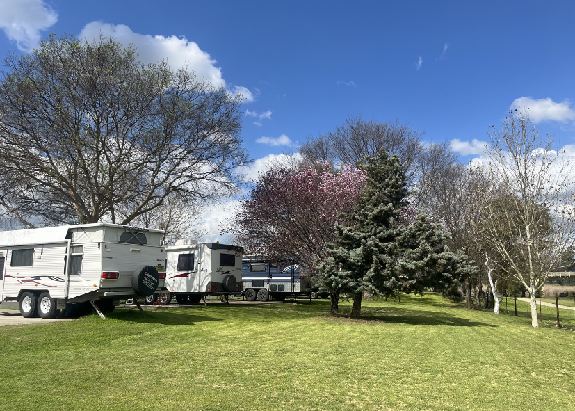 inverell caravan park kui parks spring flowers and trees