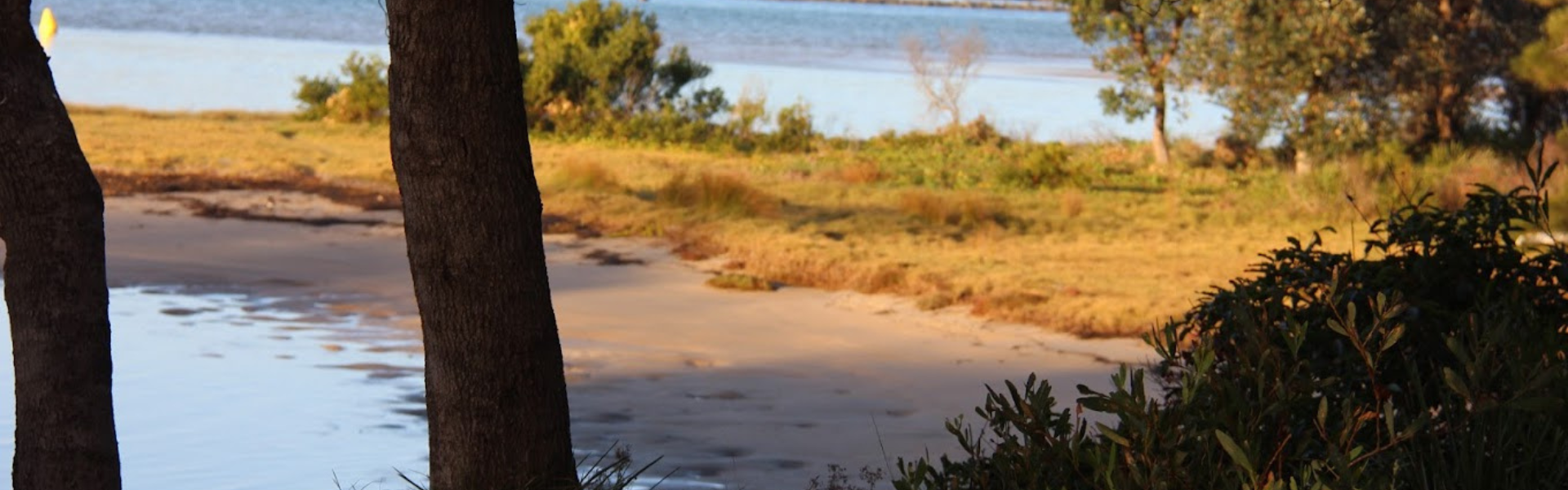 Banner image.
