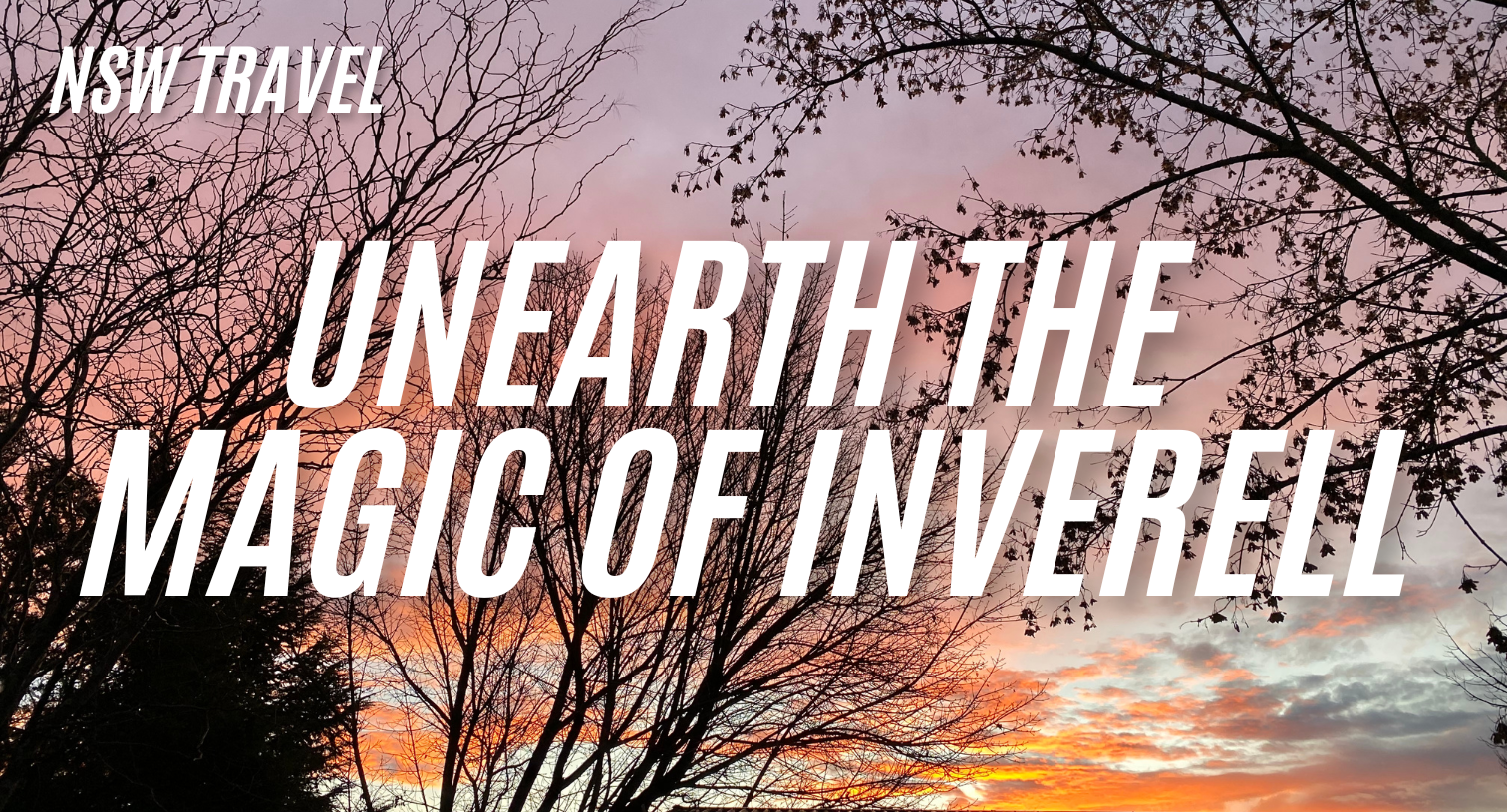 unearth the magic of Inverell caravan park kui parks