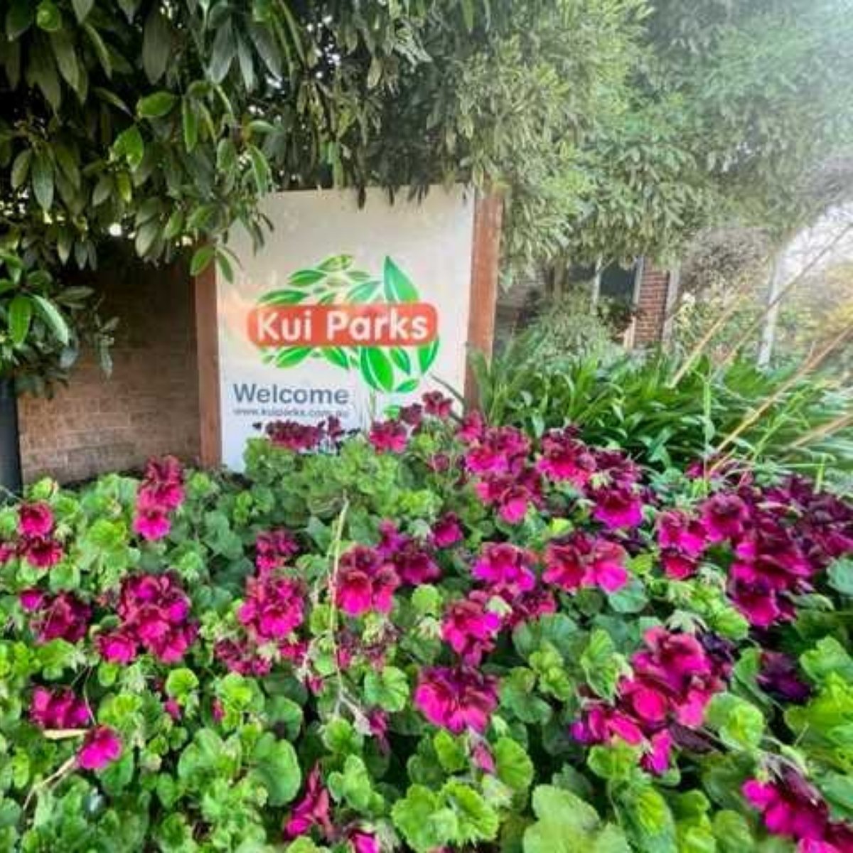 beach park tourist caravan park kui parks sign with purple flowers at the front