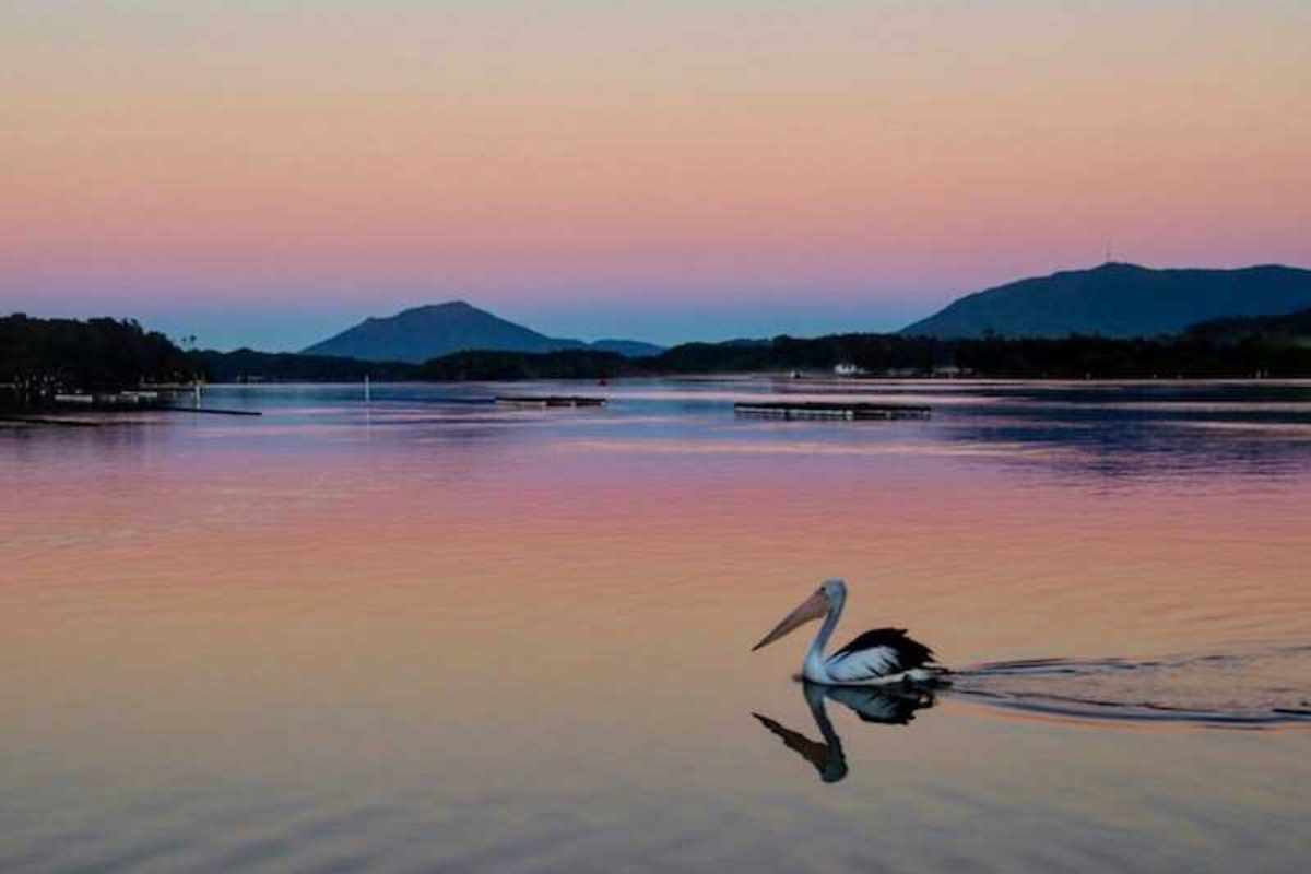 diamond waters caravan park pelican
