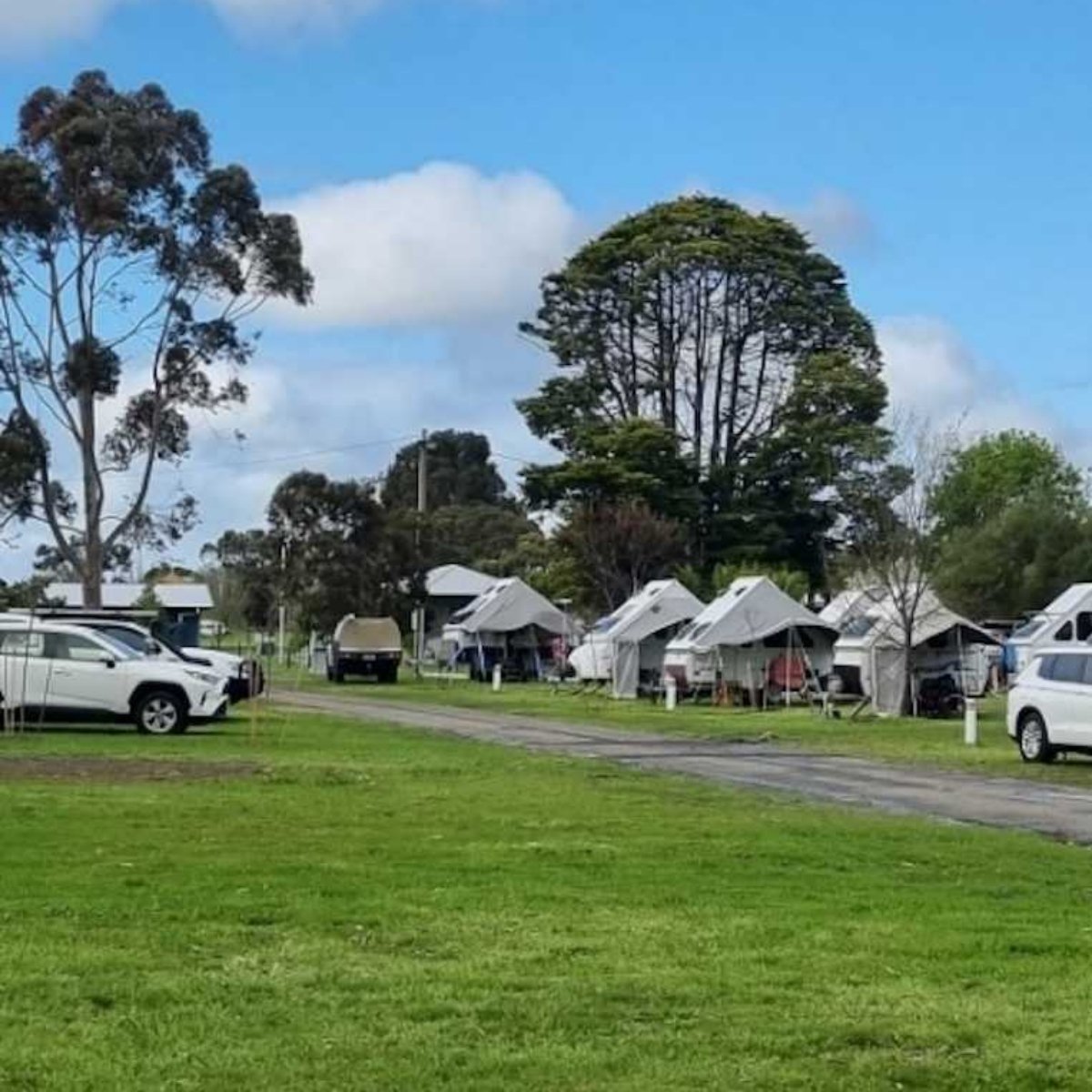 edenhope lakeside tourist park grass camping area with multiple caravans