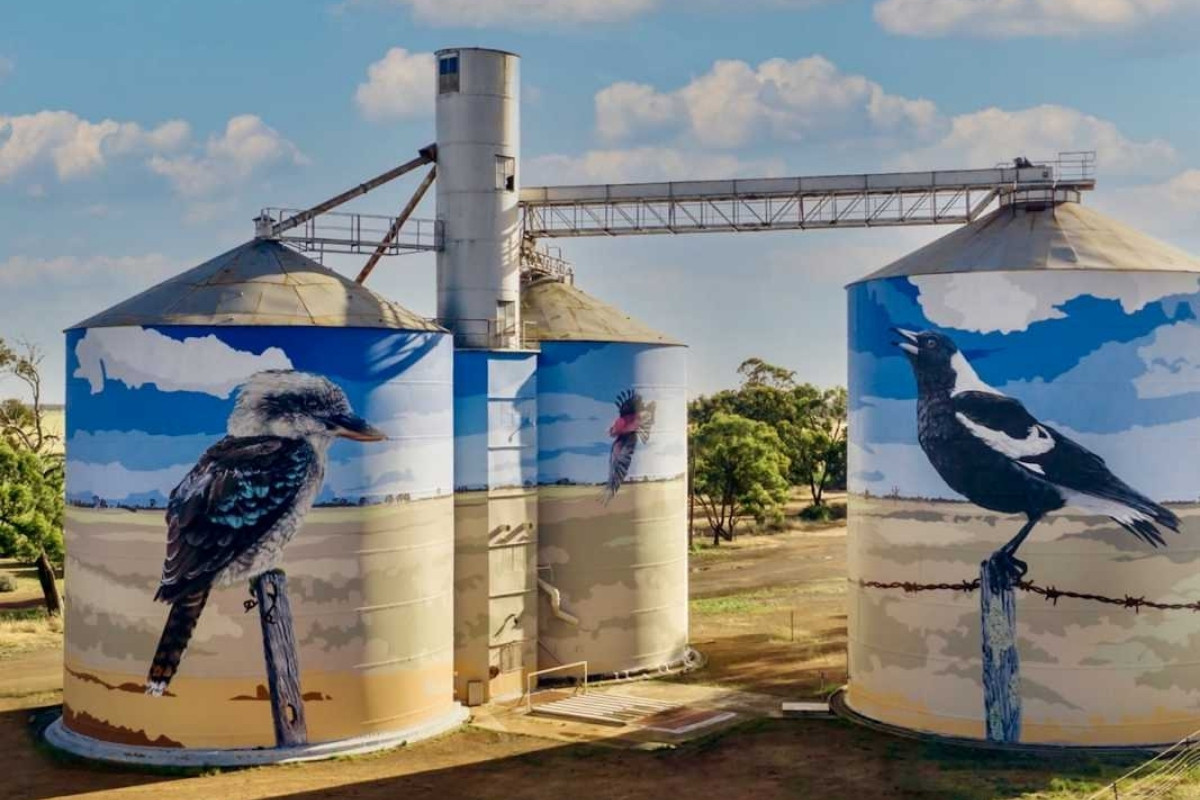 edenhope lakeside tourist park painted silos with australian birds