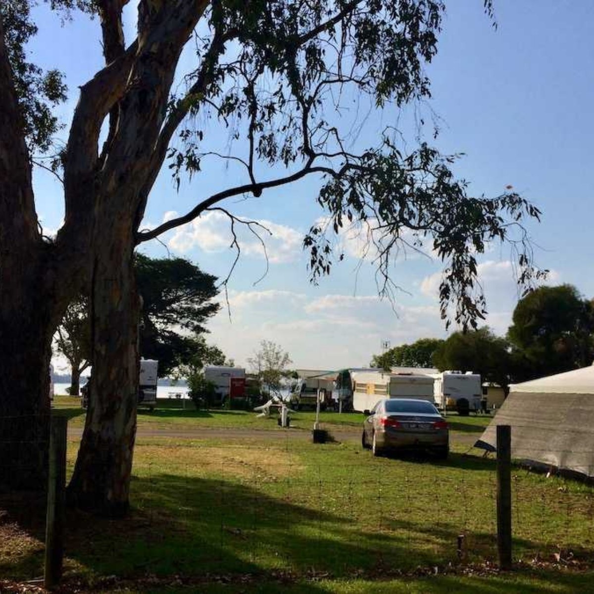 edenhope lakeside tourist park tree with caravan parking in background