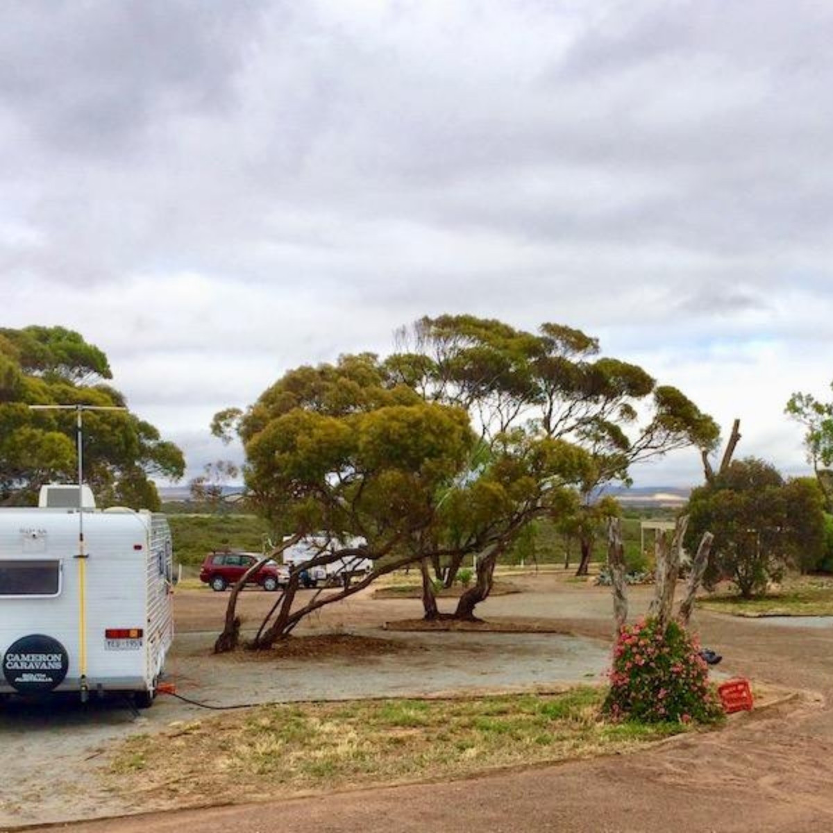harbour view caravan park caravan site with trees