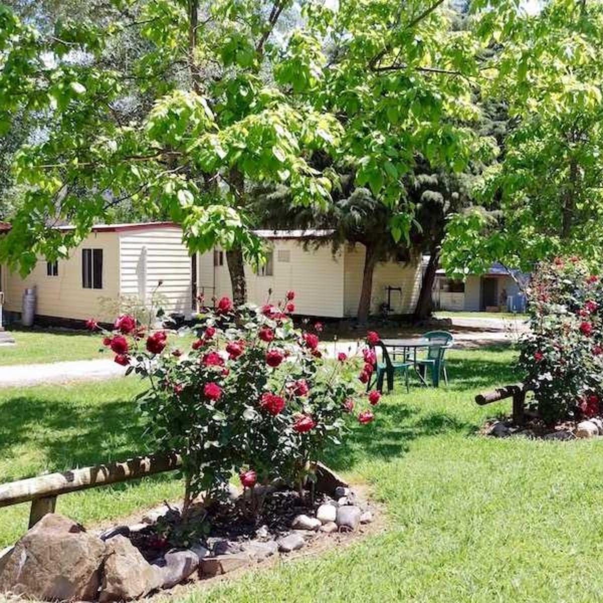 khancoban lakeside caravan park cabin with trees