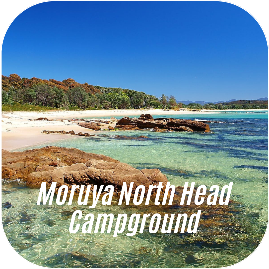 moruya north head campground kui parks unpowered sites
