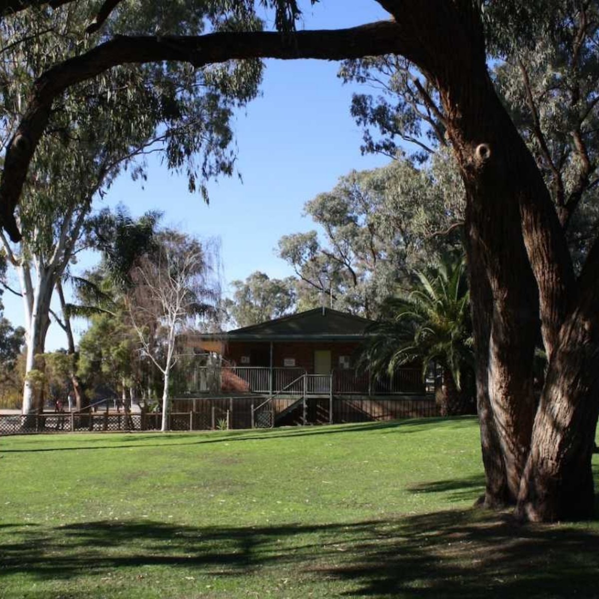 robinvale riverside caravan park cabin framed by trees