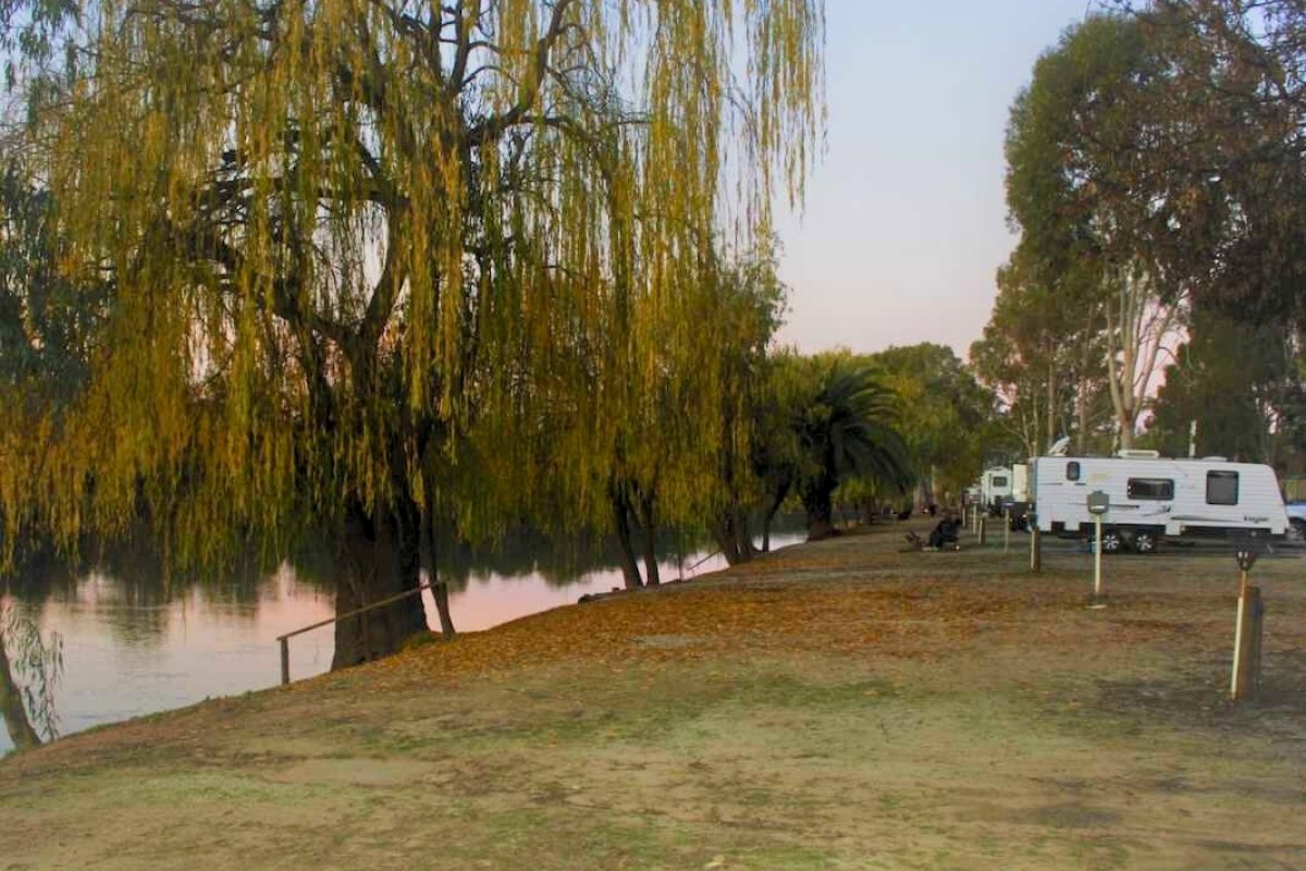 robinvale riverside caravan park caravan sites along river bank